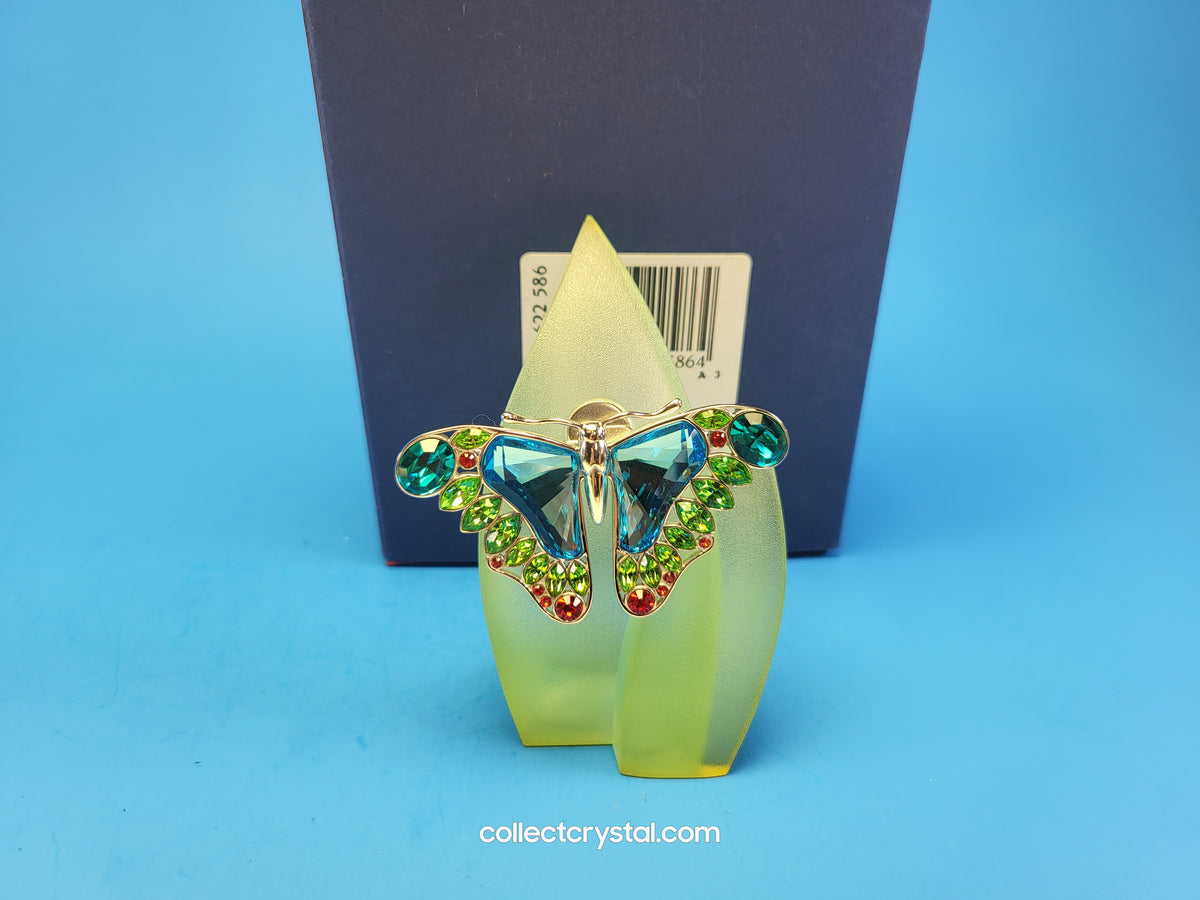 PARADISE BUGS BROOCH – BUTTERFLY ALAMAZORA TURQUOISE 622586