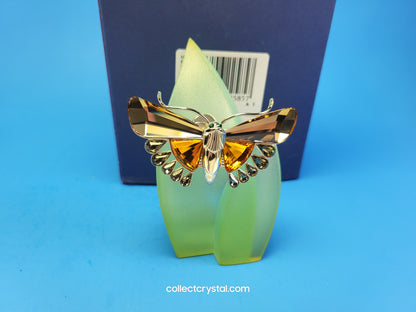 Paradise - Dragonfly Brooch Pin - Aikawa Light Topaz # 622585