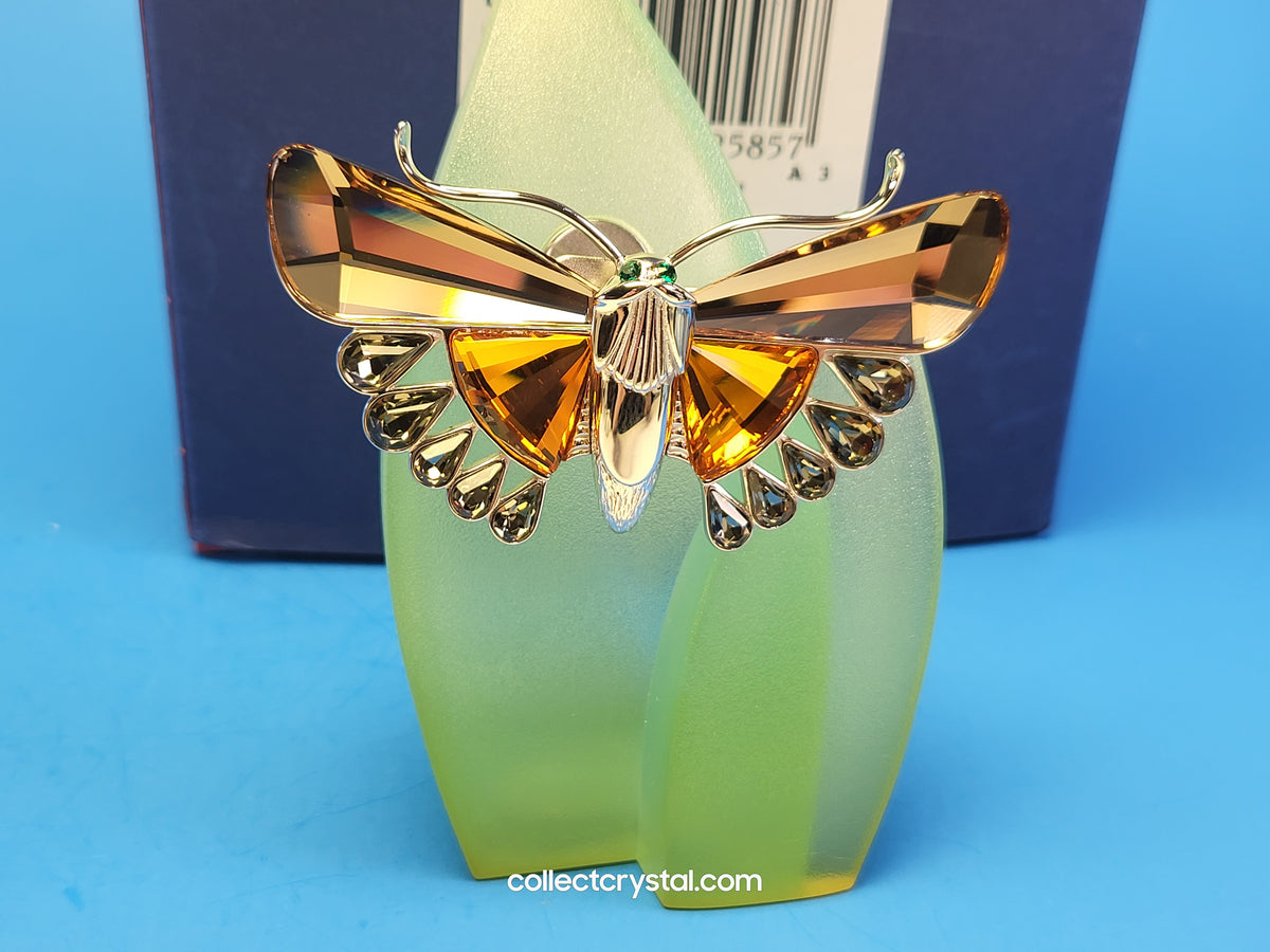 Paradise - Dragonfly Brooch Pin - Aikawa Light Topaz # 622585