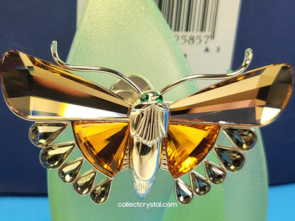 Paradise - Dragonfly Brooch Pin - Aikawa Light Topaz # 622585