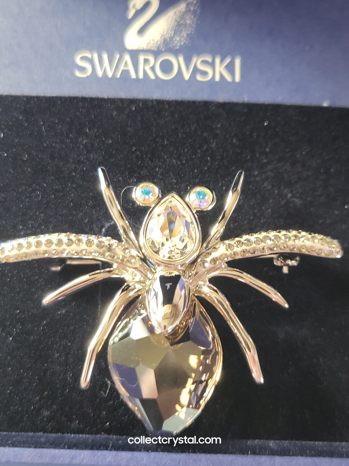 PARADISE BUGS BROOCH – SPIDER DARJA AURORA BOREALIS / SILVER SHADE 903655