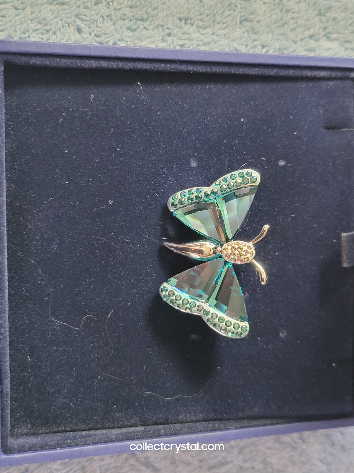 PARADISE BUGS BROOCH – BUTTERFLY Dmul TURQUOISE 928355