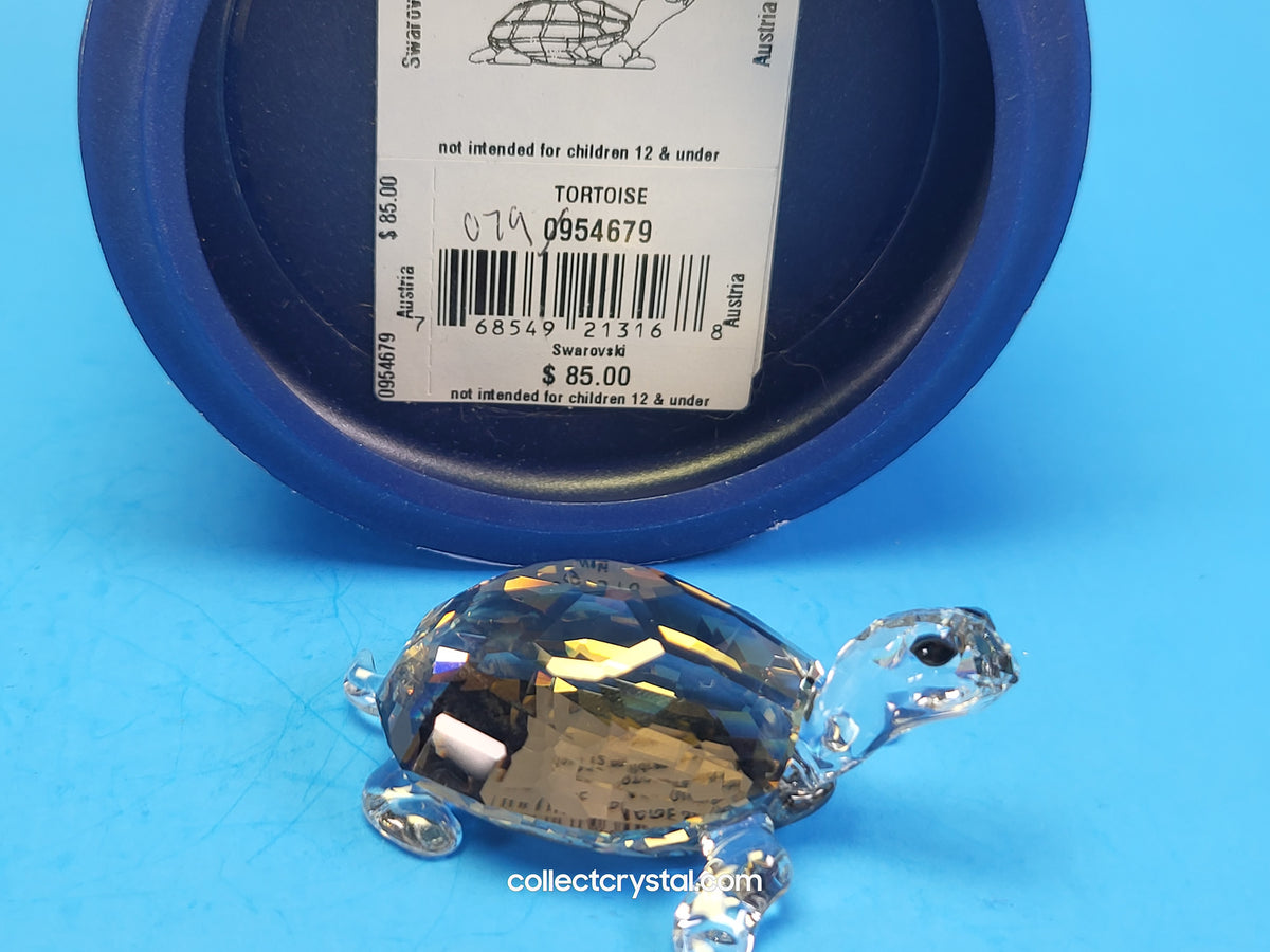 TORTOISE - GOLDEN TEAK # 954679