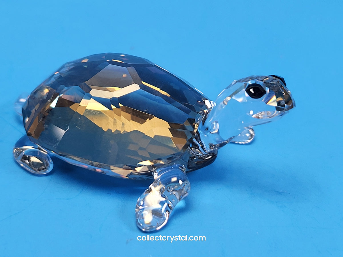 TORTOISE - GOLDEN TEAK # 954679