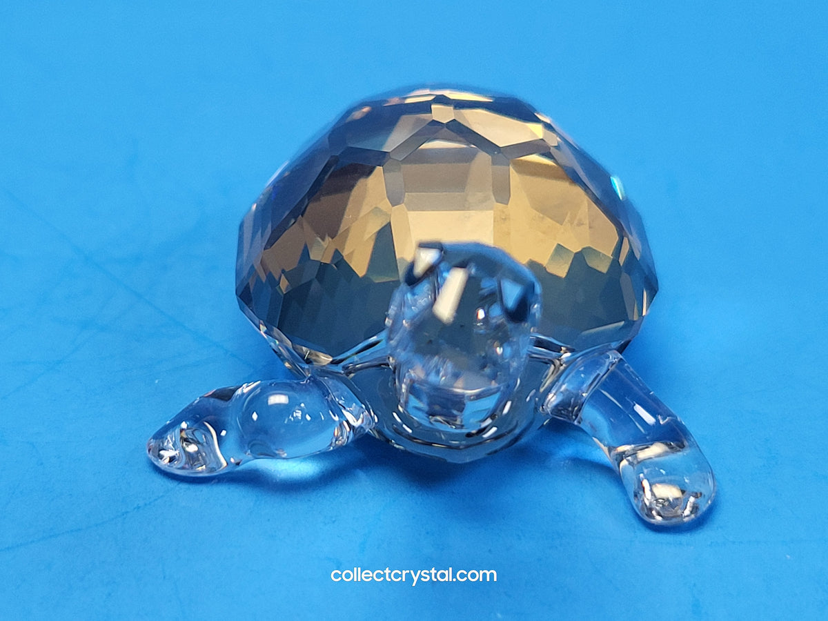 TORTOISE - GOLDEN TEAK # 954679
