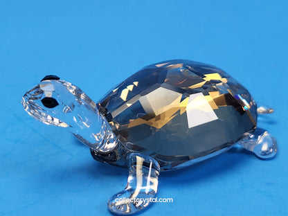 TORTOISE - GOLDEN TEAK # 954679
