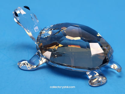 TORTOISE - GOLDEN TEAK # 954679