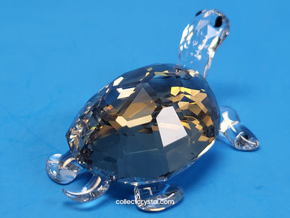 TORTOISE - GOLDEN TEAK # 954679