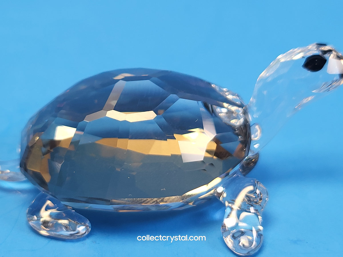 TORTOISE - GOLDEN TEAK # 954679