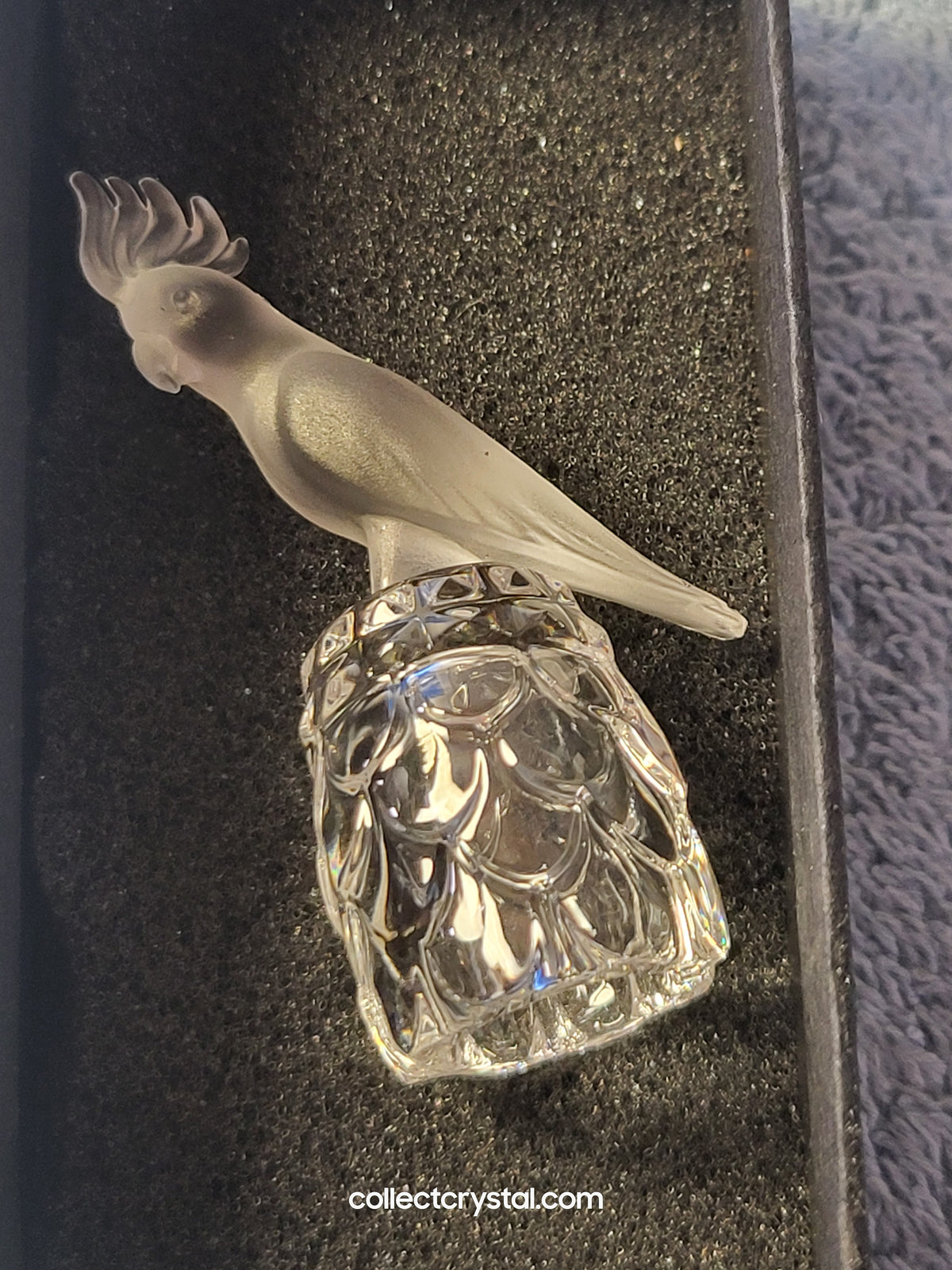Cockatoo on Thimble Base #  012007 Parrot Bird - Crystal Colors