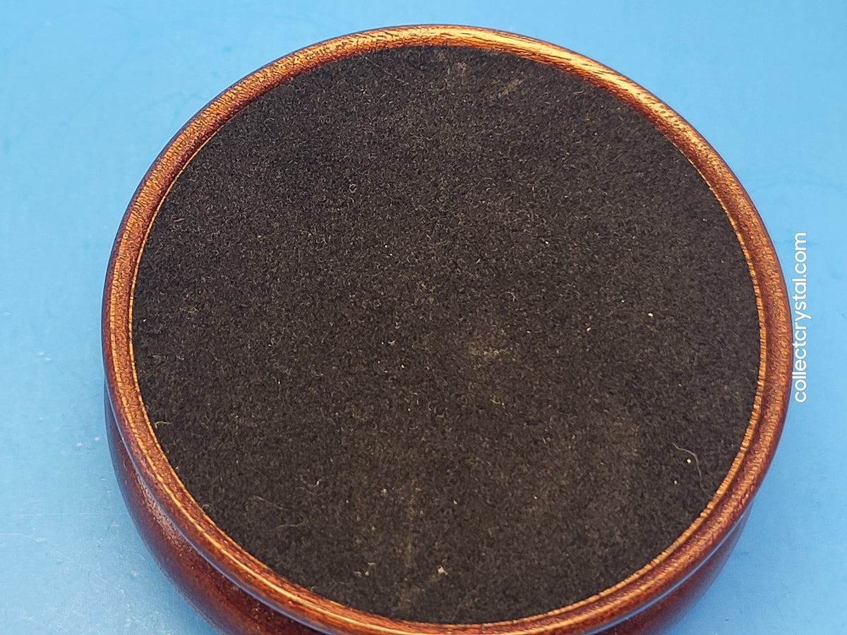 Display Base / Socket # 267444 African Wildlife