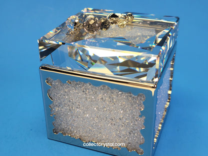 BOX – CRYSTALLINE TREASURE (2008 ISSUE) 918631