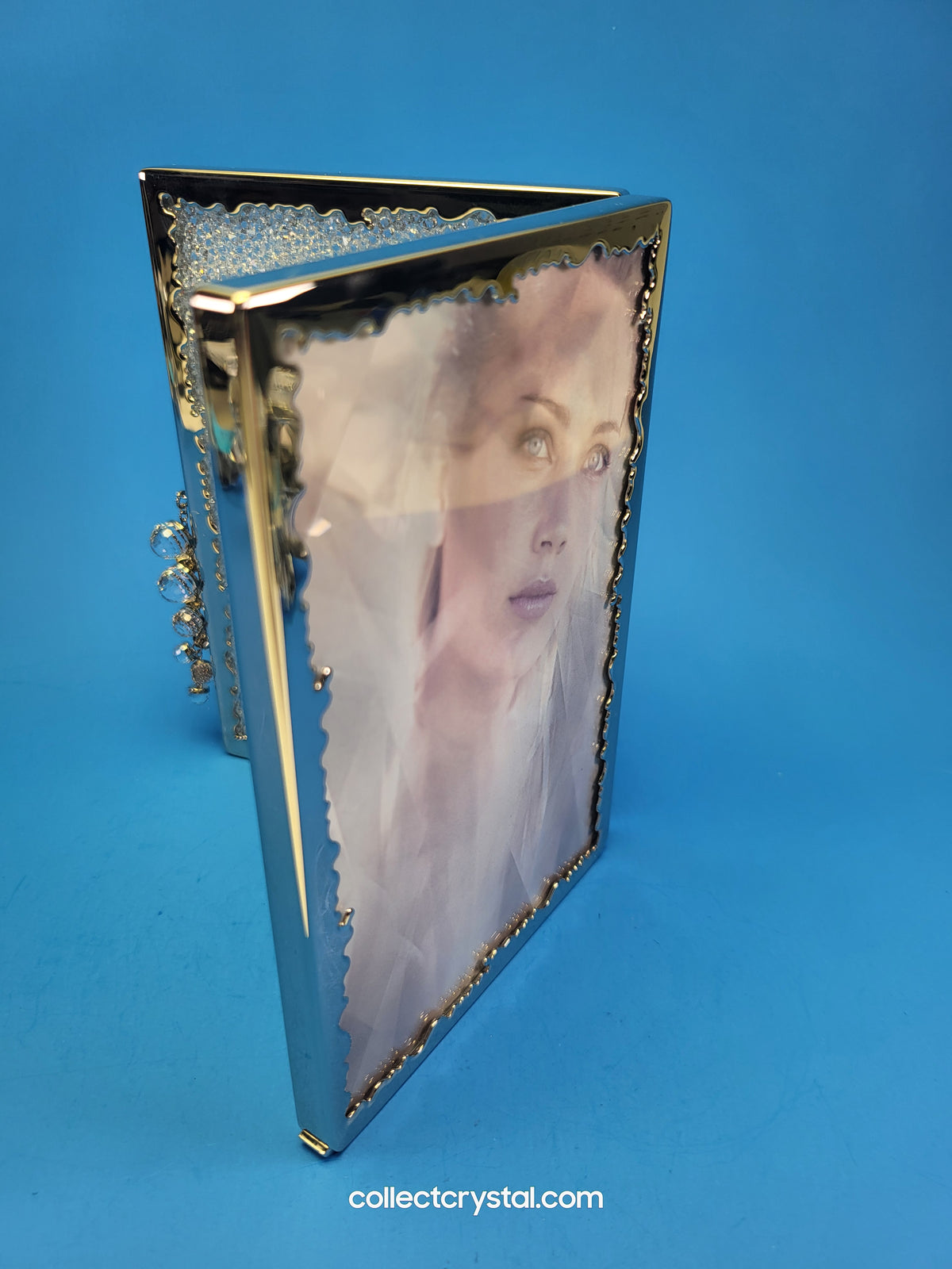 PICTURE FRAME – CRYSTALLINE LARGE (2008 ISSUE) 918633