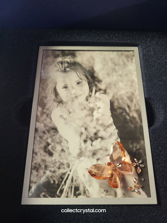 Giftware PICTURE FRAME – BUTTERFLY PEACH 888452