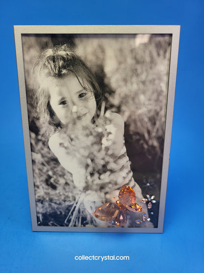 Giftware PICTURE FRAME – BUTTERFLY PEACH 888452