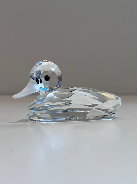 MALLARD DUCK 012723