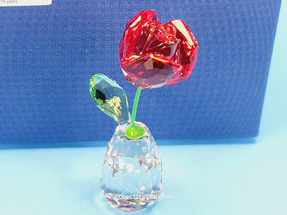 Flower Dreams - Red Rose 5254323