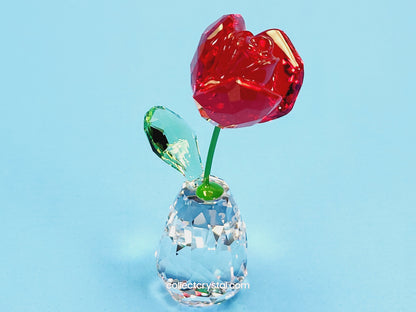 Flower Dreams - Red Rose 5254323