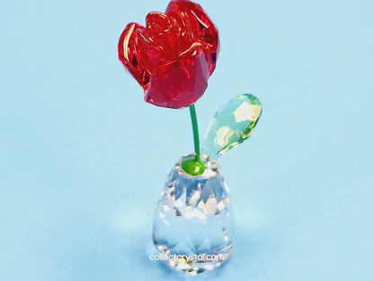 Flower Dreams - Red Rose 5254323