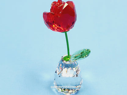 Flower Dreams - Red Rose 5254323