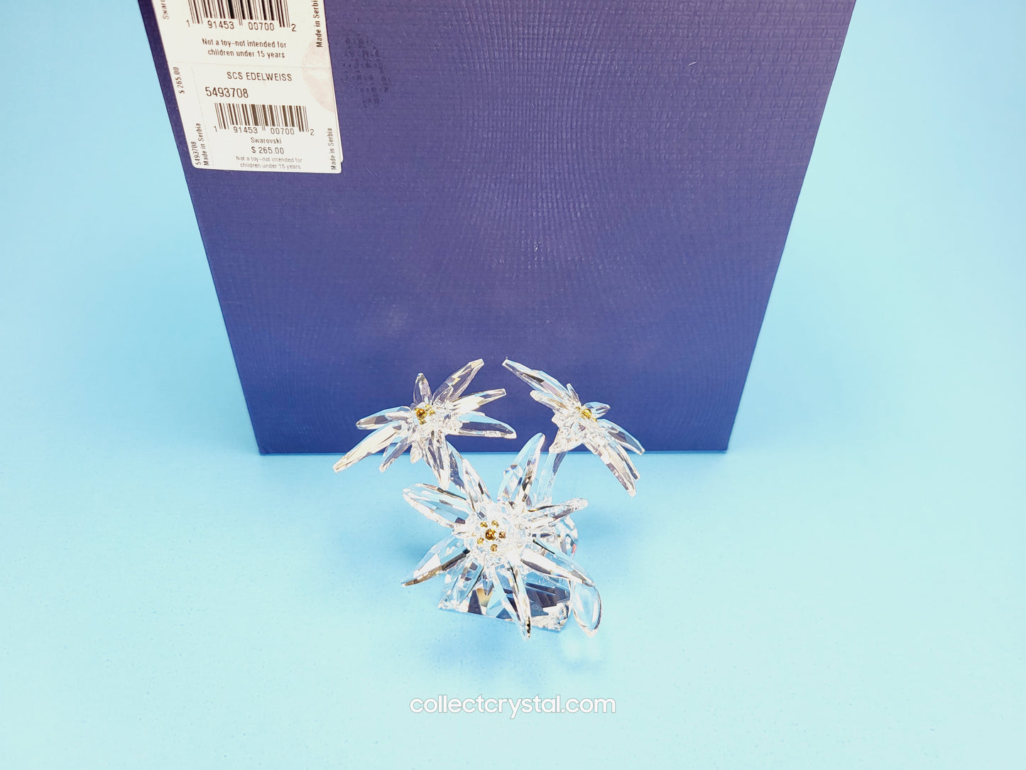 Flower Edelweiss star flowers scs 2020