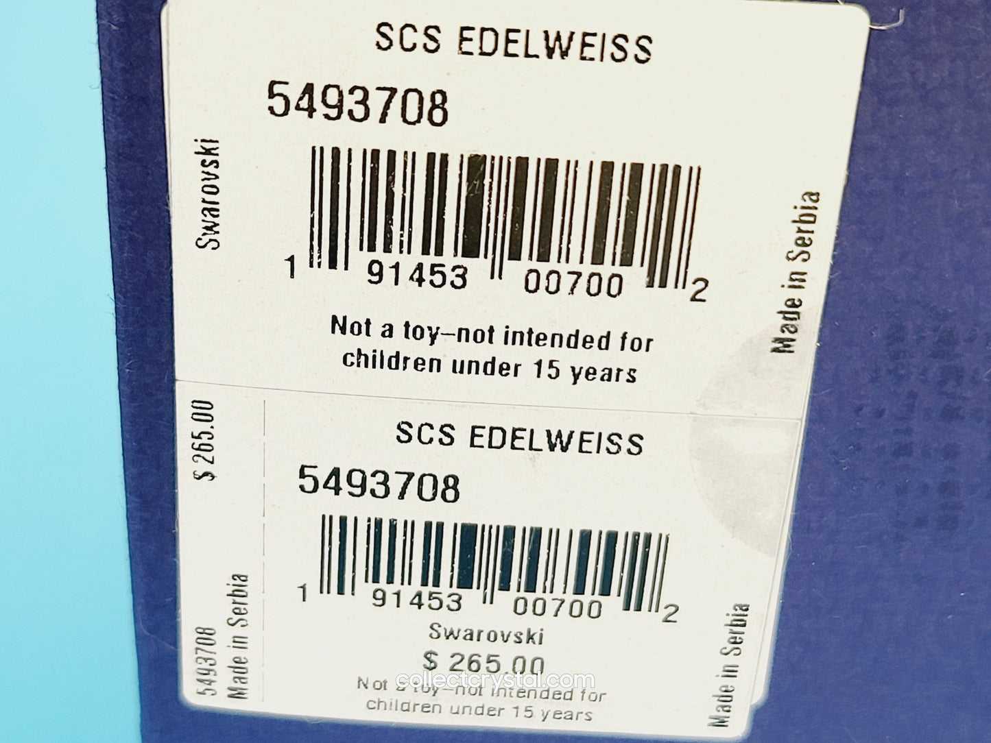 Flower Edelweiss star flowers scs 2020