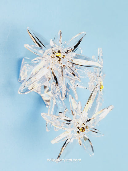 Flower Edelweiss star flowers scs 2020
