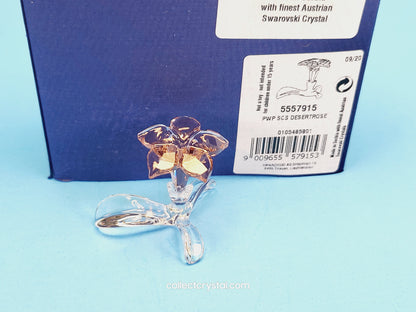 SCS Members Desert Rose Flower