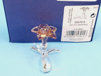 SCS Members Desert Rose Flower