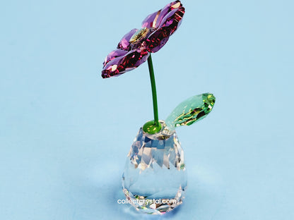 Dreams Gerbera, flower dreams Figurine 5439225