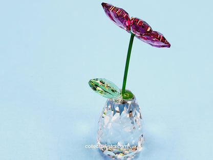 Dreams Gerbera, flower dreams Figurine 5439225