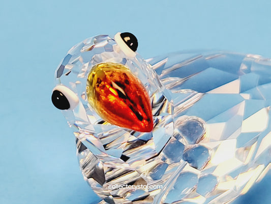 Parrot with orange beak PARROT COLOR BEAK 294047