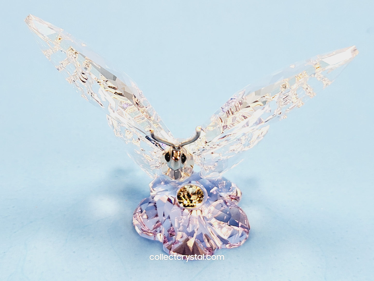 Butterfly SCS Event 2013  1142859 Figurine