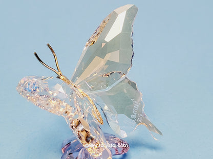 Butterfly SCS Event 2013  1142859 Figurine