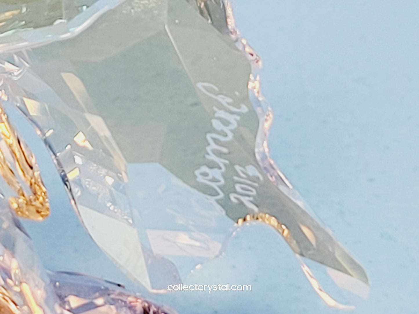 Butterfly SCS Event 2013  1142859 Figurine