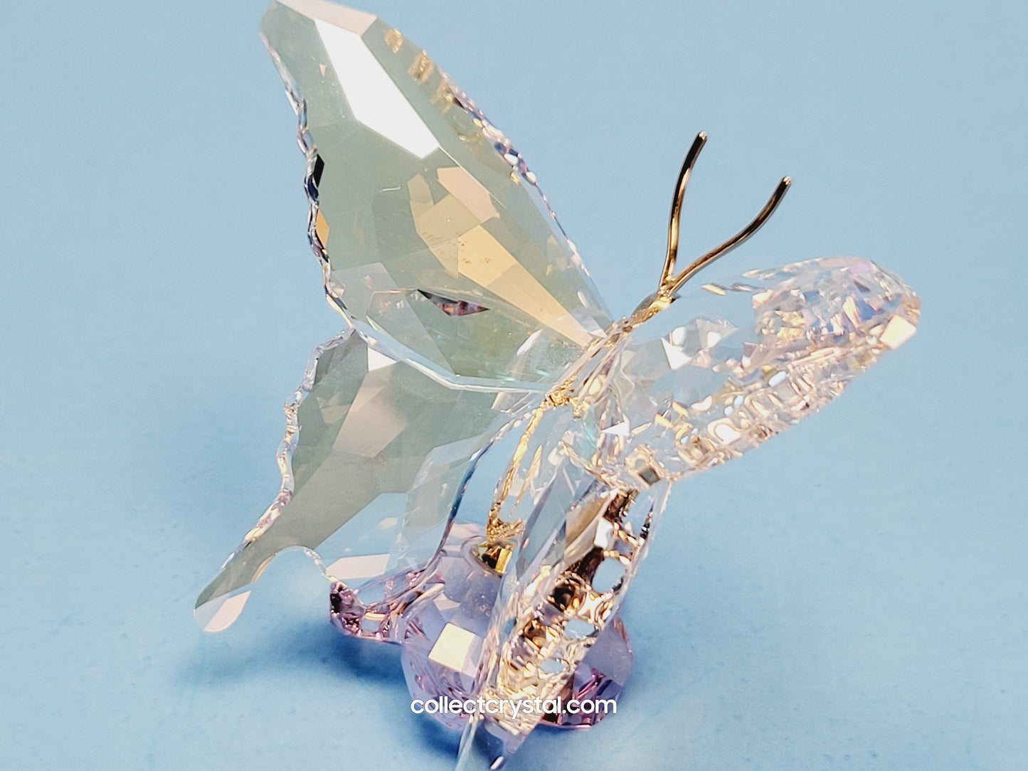 Butterfly SCS Event 2013  1142859 Figurine