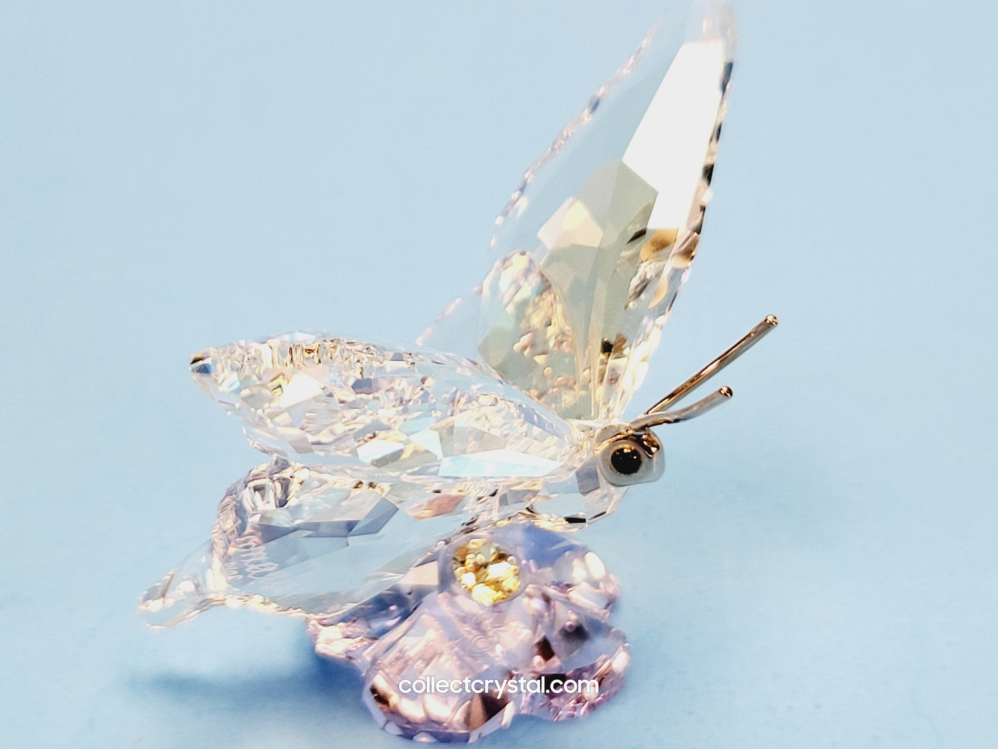 Butterfly SCS Event 2013  1142859 Figurine