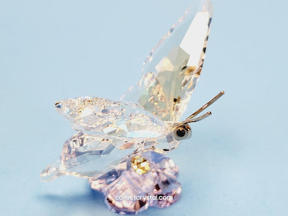 Butterfly SCS Event 2013  1142859 Figurine
