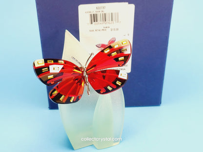Paradise Butterfly, Adena light siam 622737