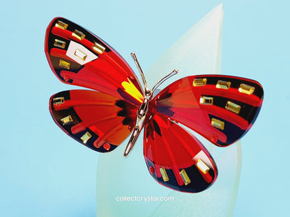 Paradise Butterfly, Adena light siam 622737