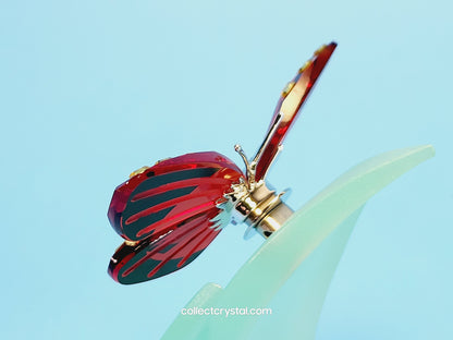 Paradise Butterfly, Adena light siam 622737