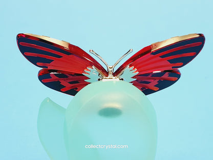Paradise Butterfly, Adena light siam 622737