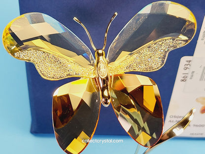 Butterfly, Figurine Almina Jonquil Paradise 861934