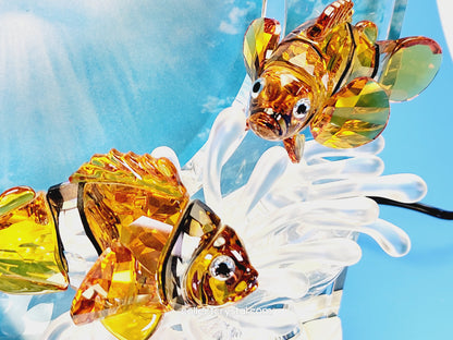 Wonders of the Sea Complete Set ANNUAL EDITION  – COLOR Harmony, Eternity & Community