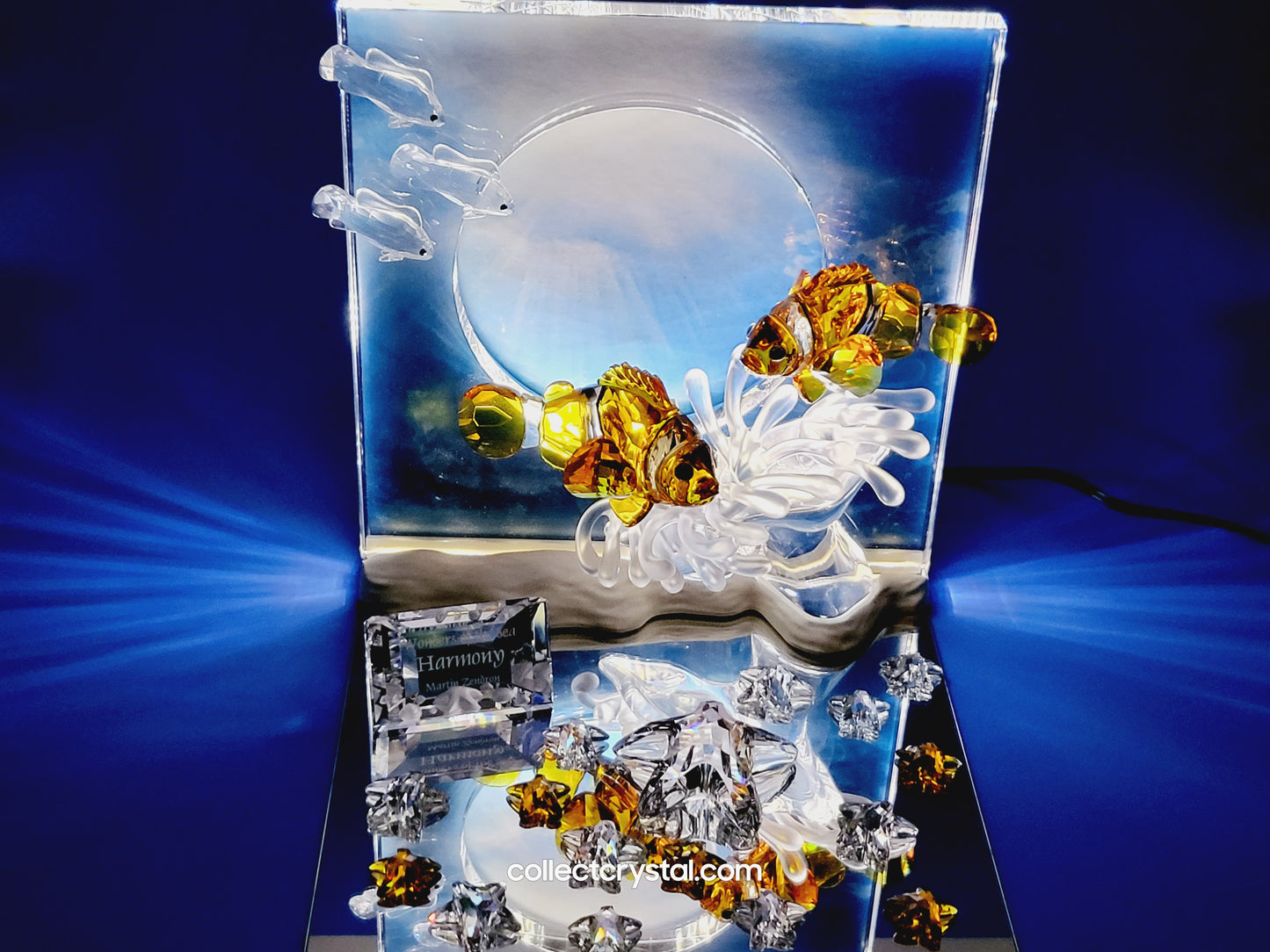 Wonders of the Sea Complete Set ANNUAL EDITION  – COLOR Harmony, Eternity & Community