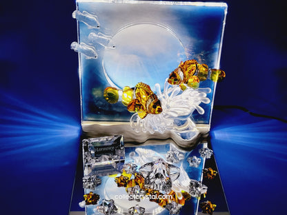 Wonders of the Sea Complete Set ANNUAL EDITION  – COLOR Harmony, Eternity & Community