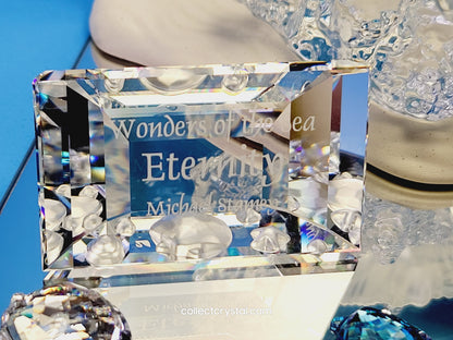 Wonders of the Sea Complete Set ANNUAL EDITION  – COLOR Harmony, Eternity & Community