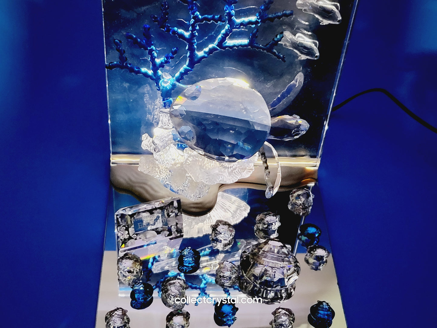 Wonders of the Sea Complete Set ANNUAL EDITION  – COLOR Harmony, Eternity & Community