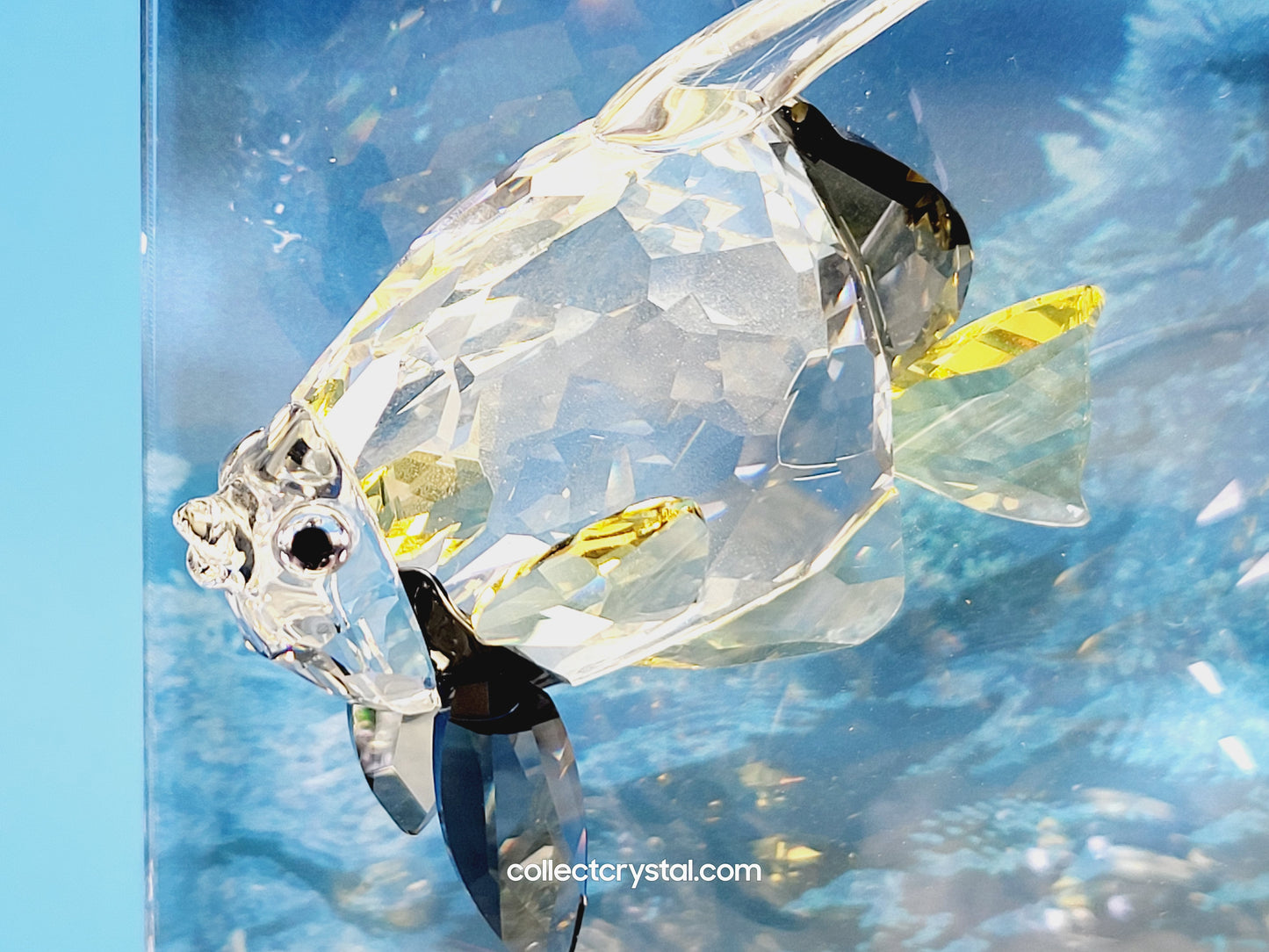 Wonders of the Sea - Community 2007 ANNUAL EDITION COLOR 854650