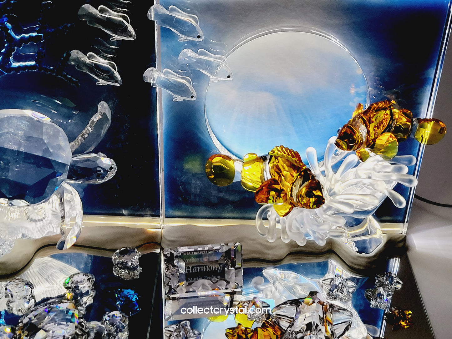 Wonders of the Sea Complete Set ANNUAL EDITION  – COLOR Harmony, Eternity & Community